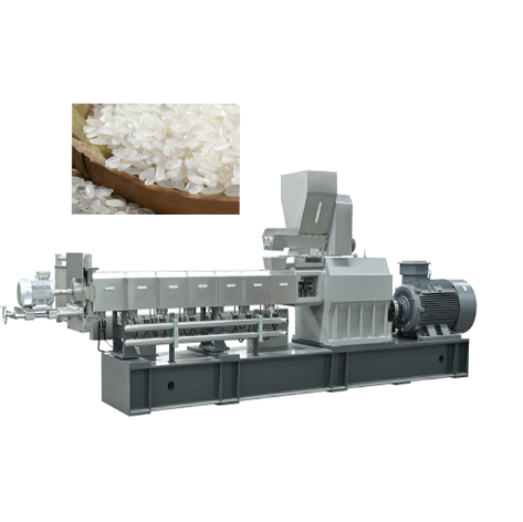 Fortified Rice Plant