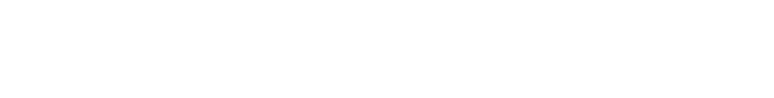 SN Engineering Works Logo